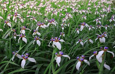 万代MMO网游《蓝色协议》PC版性能评测工具下载